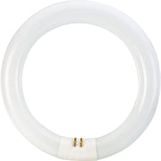 Philips 22W 8 In. Cool White T9 4-Pin Circline Fluorescent Tube Light Bulb