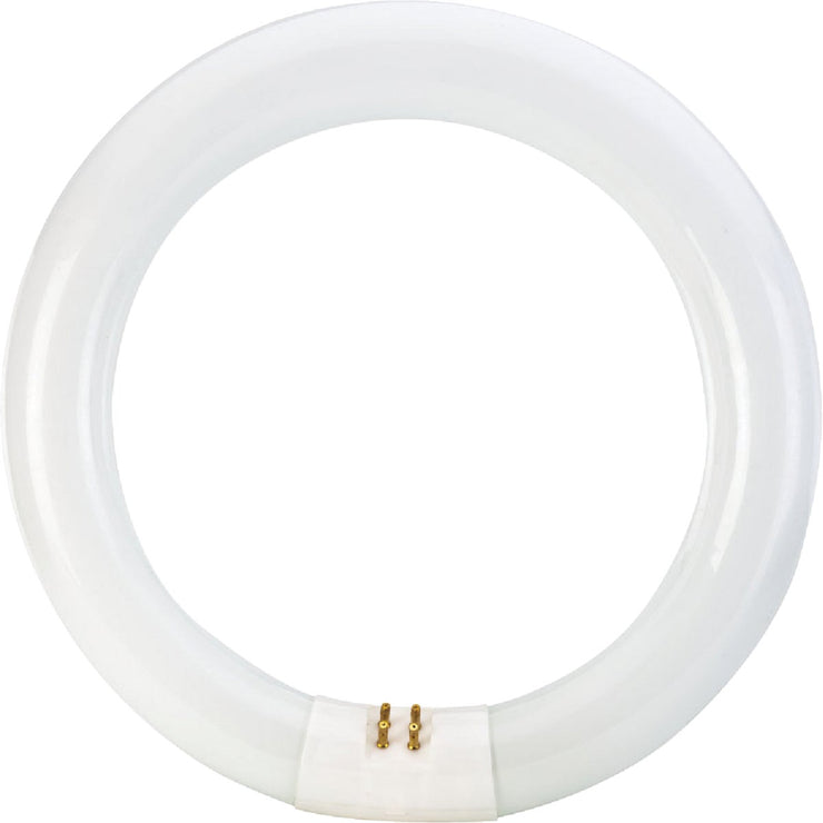 Philips 22W 8 In. Cool White T9 4-Pin Circline Fluorescent Tube Light Bulb