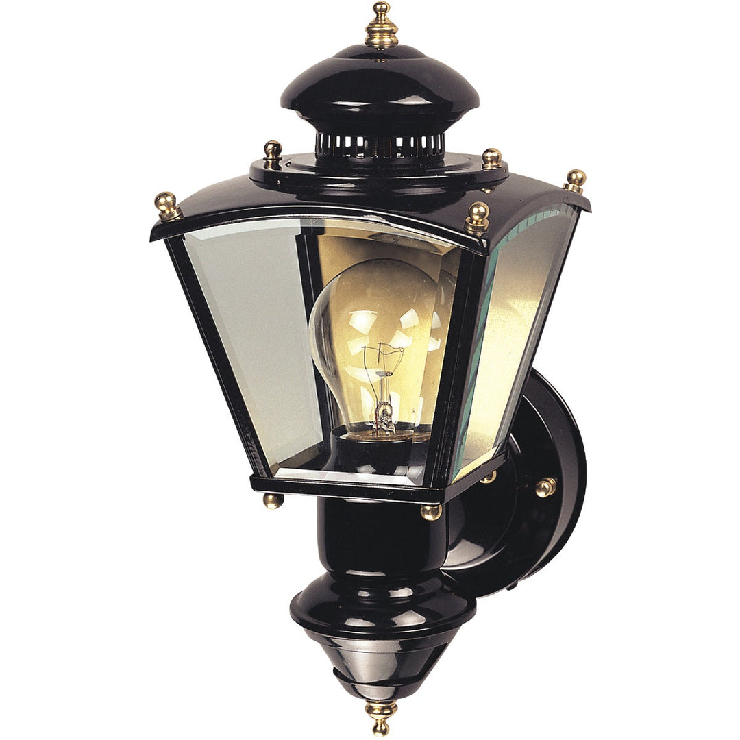 Heath Zenith Black Motion Activated/Dusk-To-Dawn Incandescent