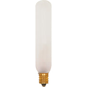 Satco 15W Frosted Candelabra Base Soft White T6 Incandescent Tubular Appliance Light Bulb (2-Pack)