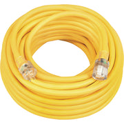 Coleman Cable 25 Ft. 10/3 Cold Weather Extension Cord