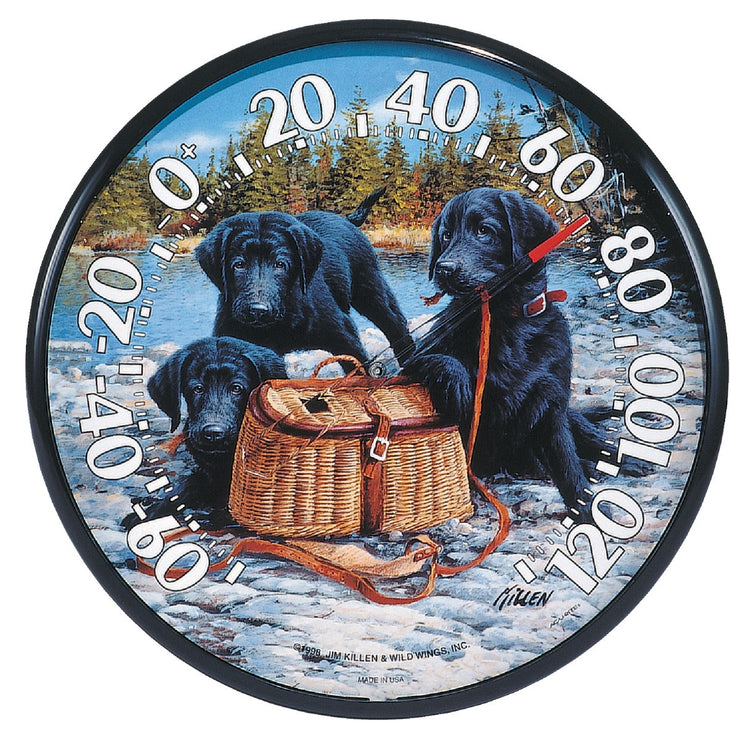 Acurite 12-1/2" Fahrenheit -60 To 120 Outdoor Wall Thermometer