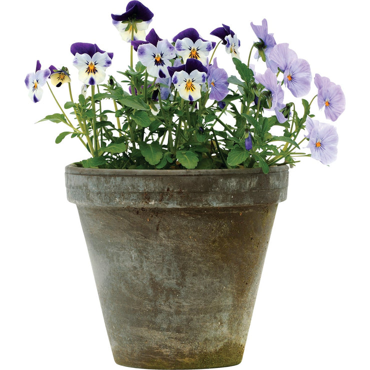Ceramo 6-3/4 In. H. x 7-3/4 In. Dia. Dark Basalt Clay Standard Flower Pot