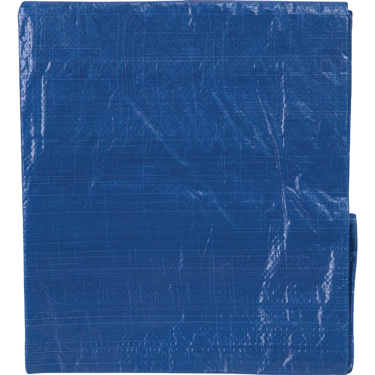 Do it Best Blue Woven 6 Ft. x 8 Ft. General Purpose Tarp