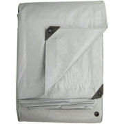 Do it Best Silver Woven 20 Ft. x 30 Ft. Heavy Duty Poly Tarp
