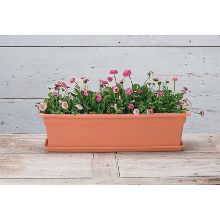 Novelty Countryside 24 In. Plastic Terra Flower Box Planter