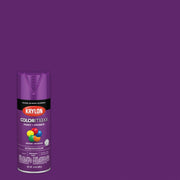Krylon Colormaxx Gloss Spray Paint & Primer, Rich Plum