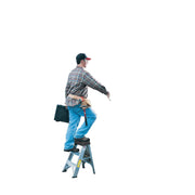 Werner 2 Ft. Aluminum Step Stool with 300 Lb. Load Capacity Type IA Ladder Rating