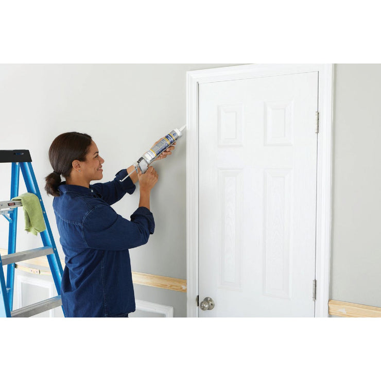 GE Painter&