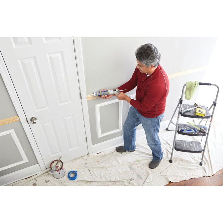 GE Painter&