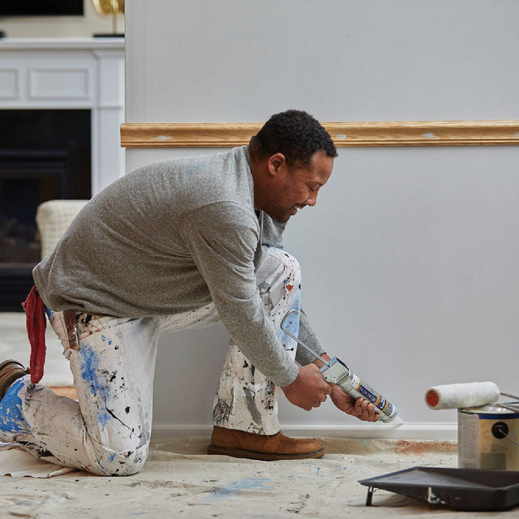 GE Painter&