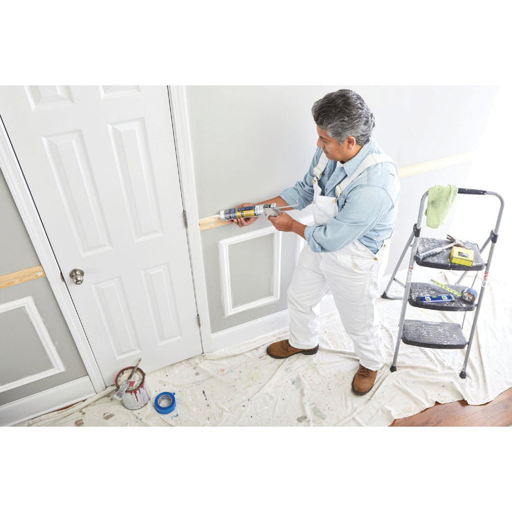 GE Painter&
