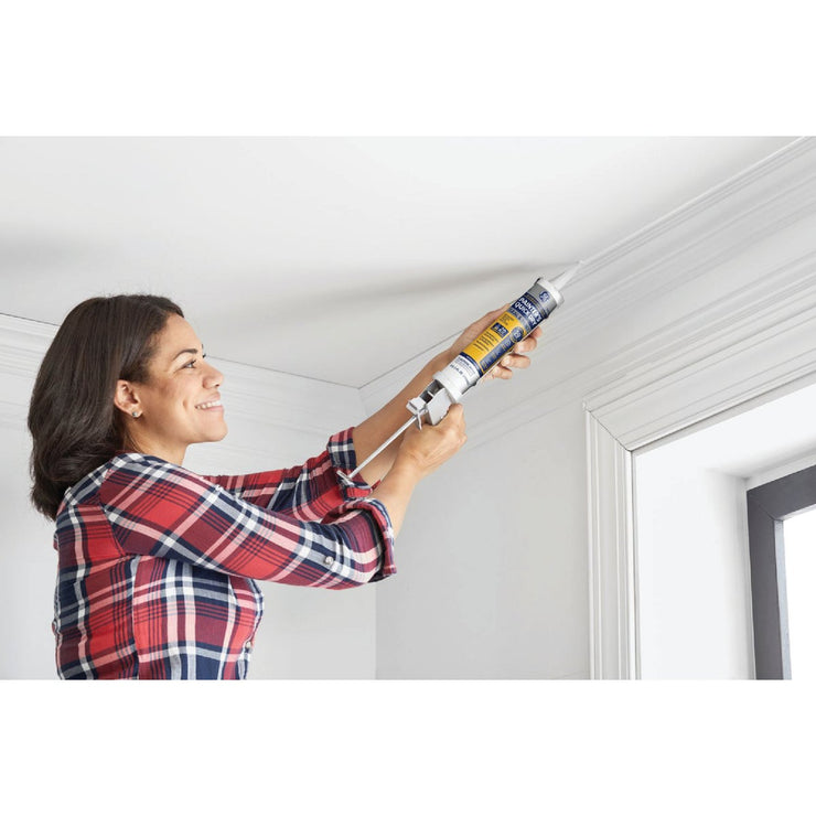 GE Painter&