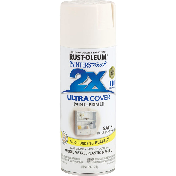 Rust-Oleum Painter&