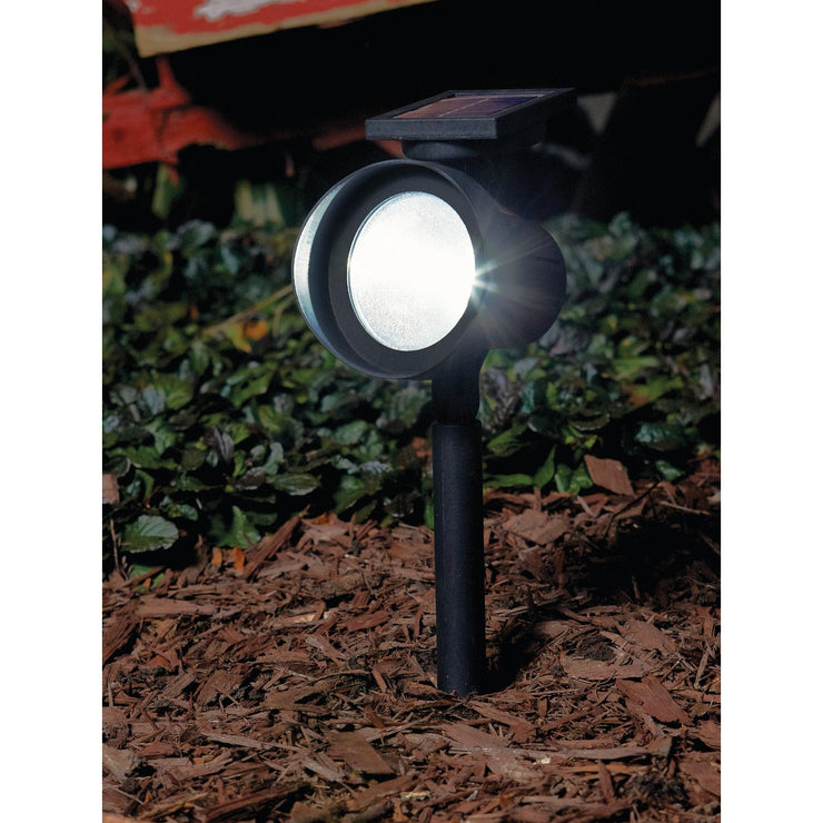Outdoor Expressions Black 15 Lumens Plastic Floodlight Solar Path Light