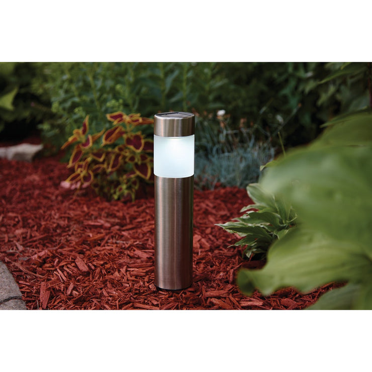 Outdoor Expressions Stainless Steel 1.6 Lumens Bollard Solar Path Light