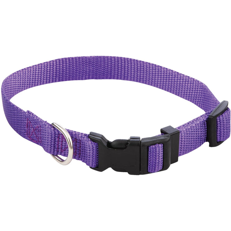 Westminster Pet Ruffin&