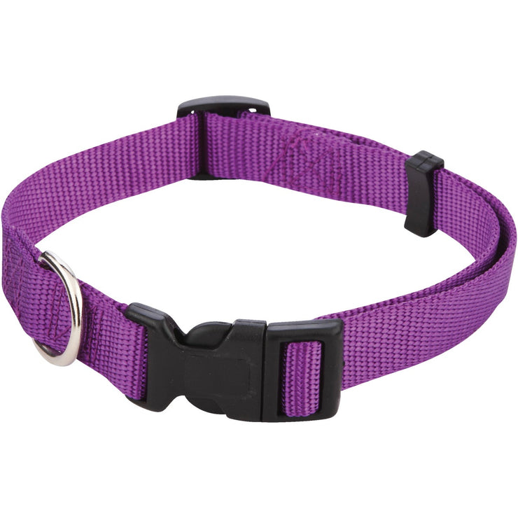 Westminster Pet Ruffin&
