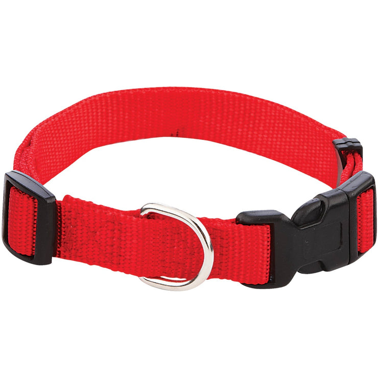 Westminster Pet Ruffin&