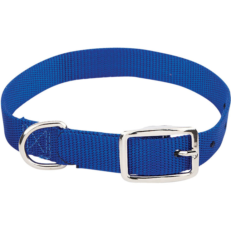 Westminster Pet Ruffin&