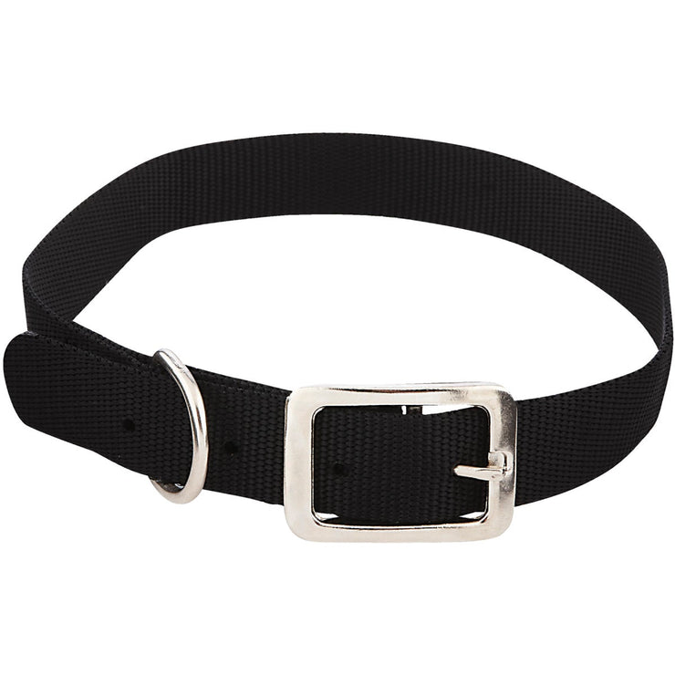 Westminster Pet Ruffin&