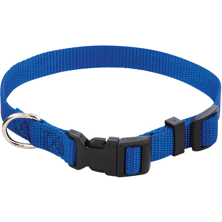 Westminster Pet Ruffin&