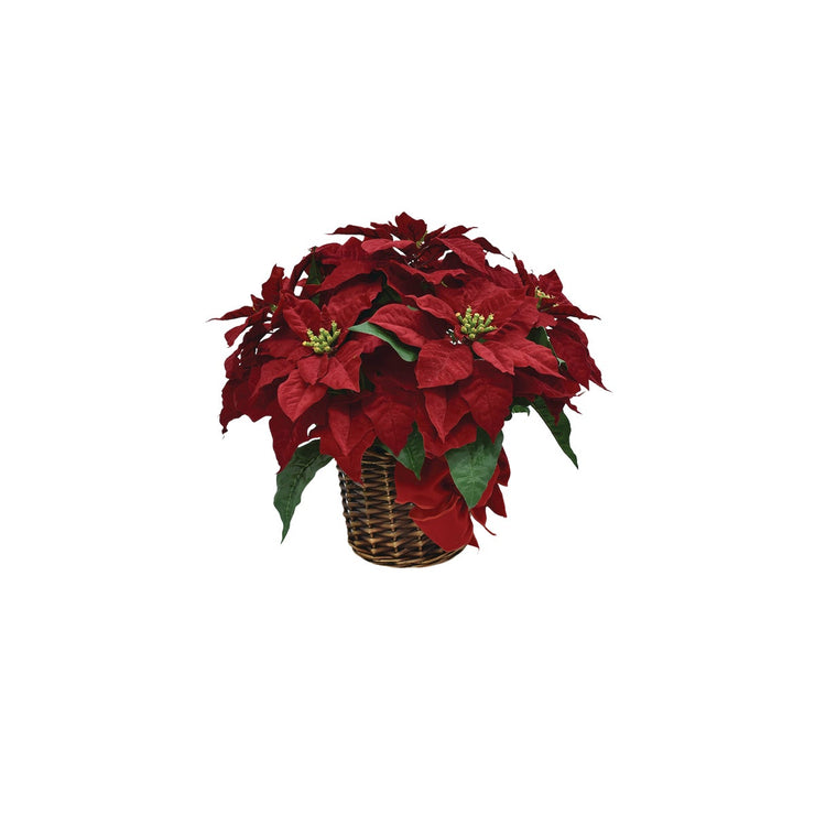 16 In. Regal Red Poinsettia with Red Velvet Bow