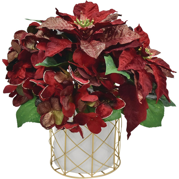 13 In. Regal Red Poinsettia