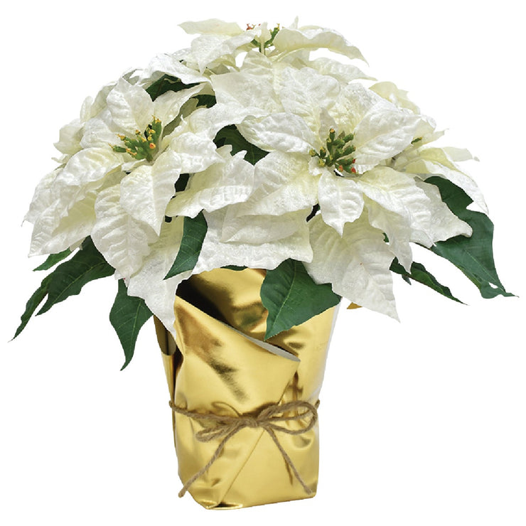 17 In. Winter White Poinsettia